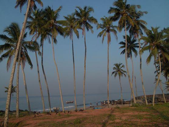 Oceanic Beach Residency Varkala Buitenkant foto