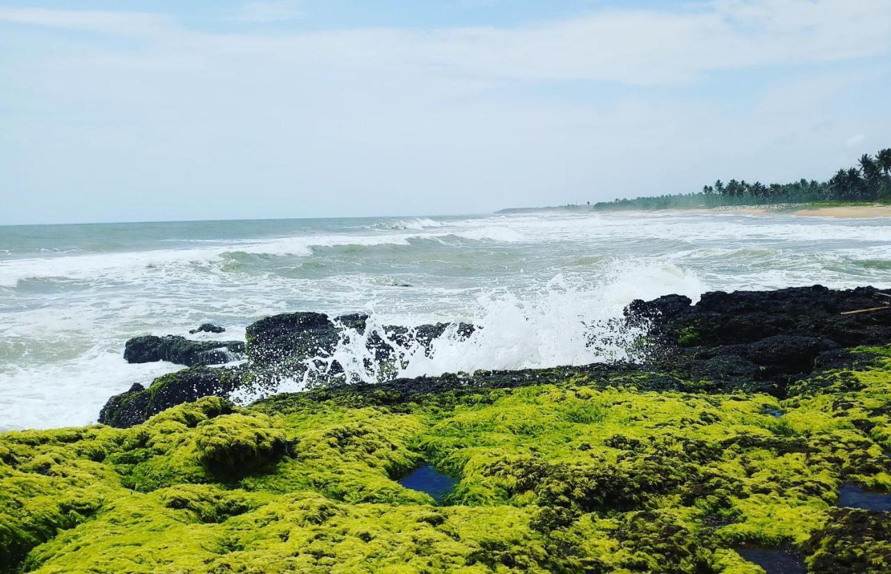Oceanic Beach Residency Varkala Buitenkant foto